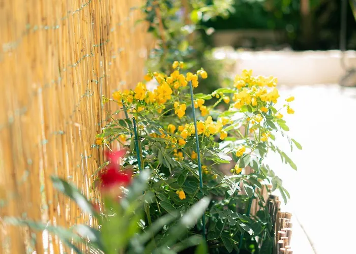 2 Pièces à 150 Mètres De La Appartement